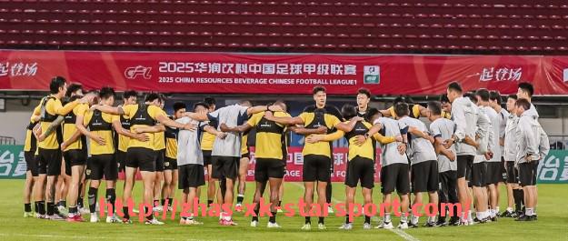 星空体育-CBA与中超球队在烧钱策略方面的对比分析